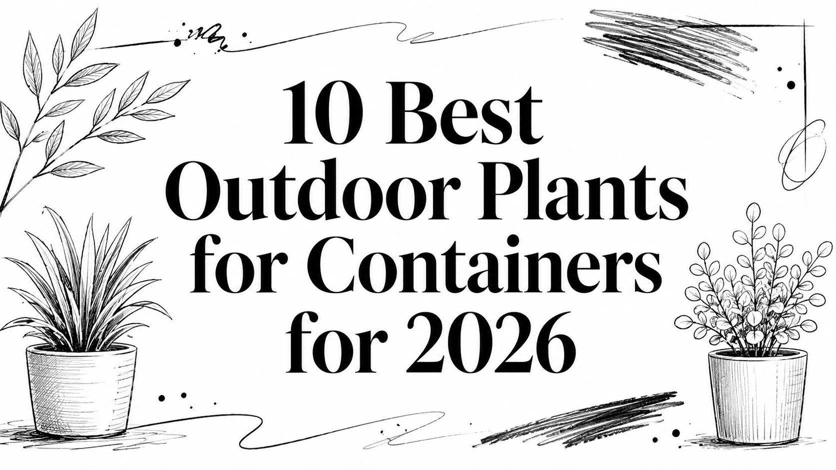 10 Best Outdoor Plants for Containers for 2026