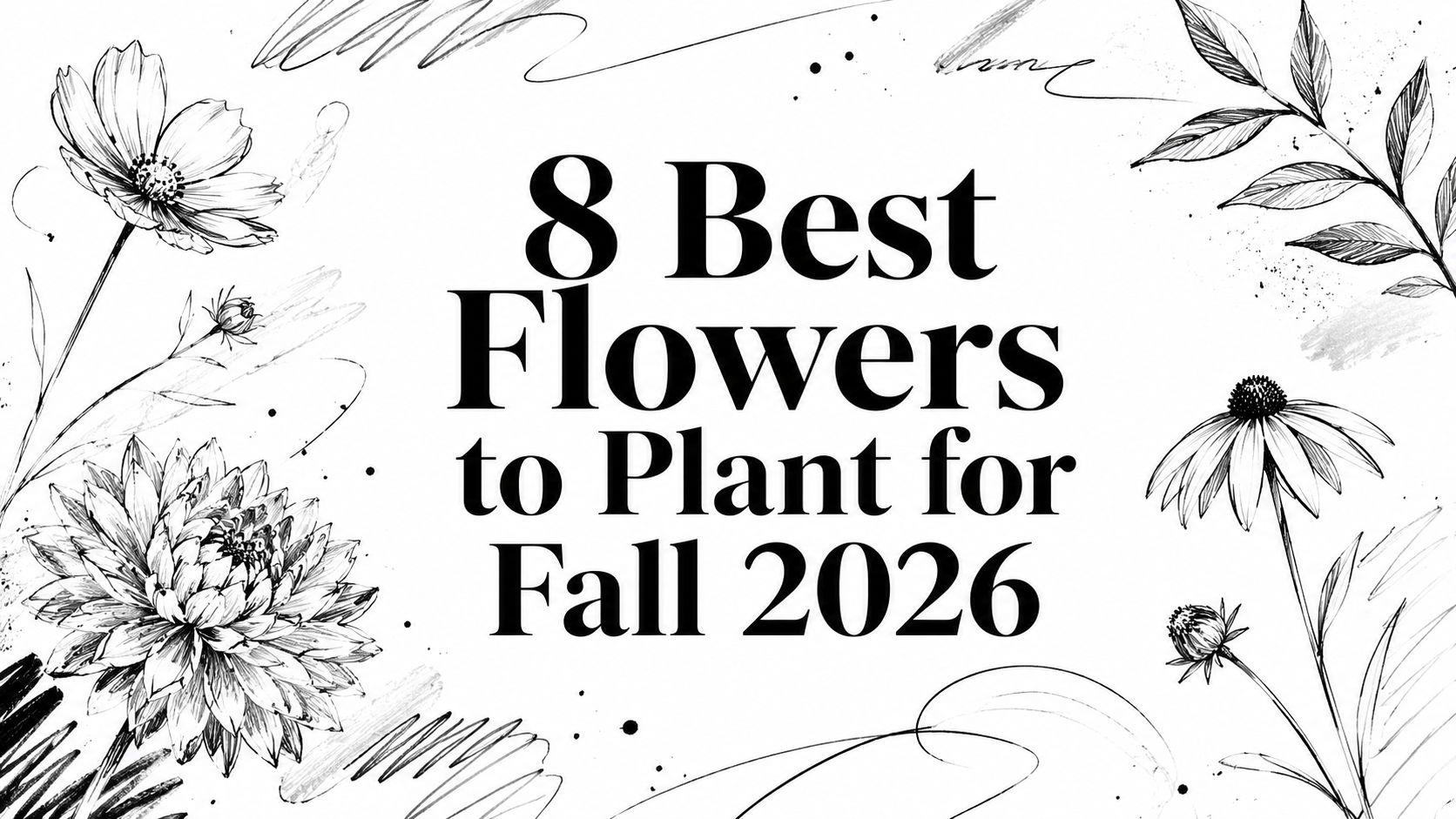 8 Best Flowers to Plant for Fall 2026