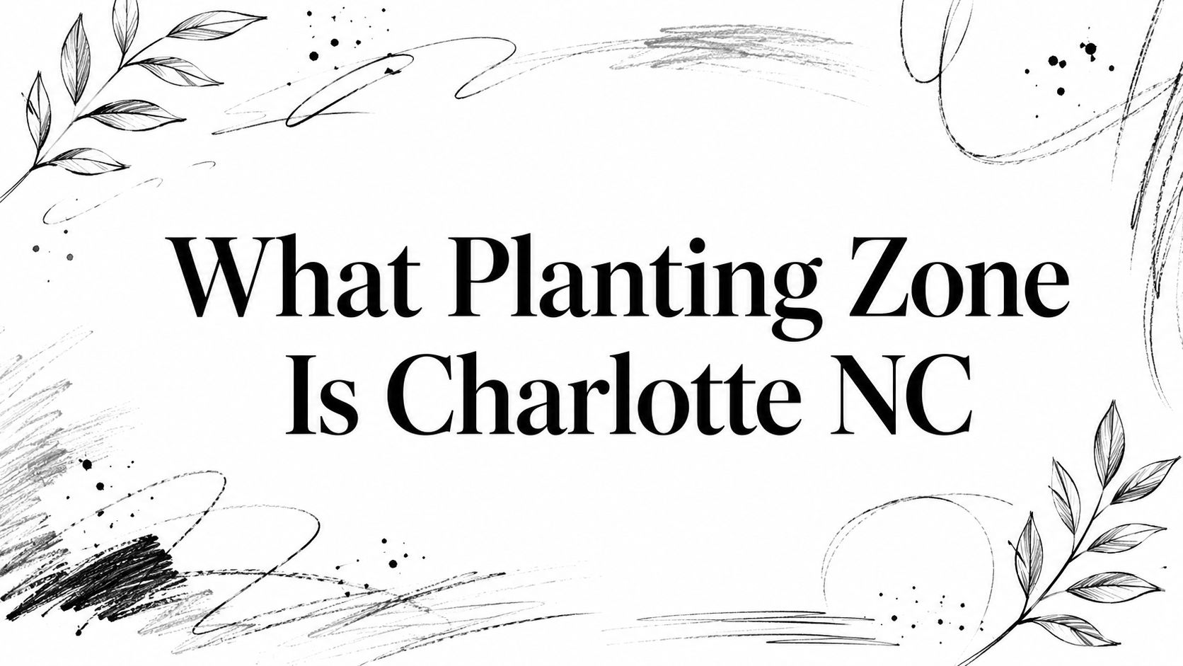 What Planting Zone Is Charlotte NC