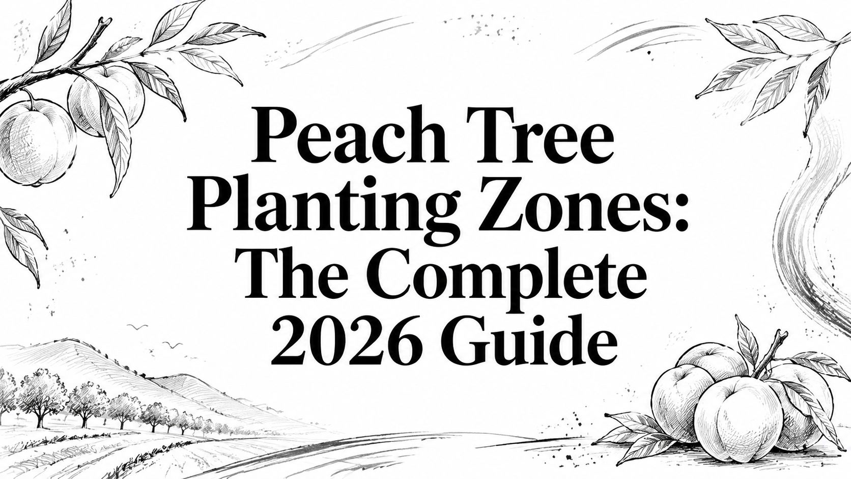 Peach Tree Planting Zones: The Complete 2026 Guide